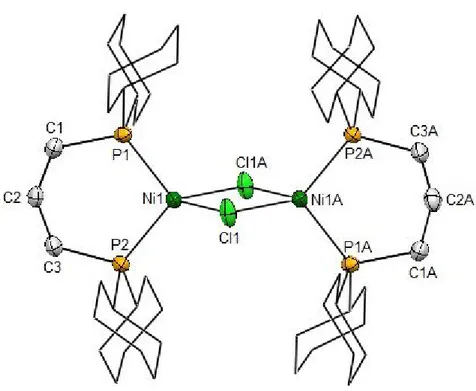 Figure 2.5: Molecular structure of [(dcpp)NiCl] 2  II-16 determined by single crystal X-ray diffraction