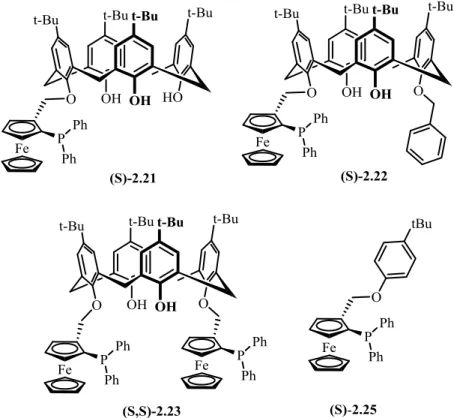 Table 2.2  Suzuki-Miyaura cross-coupling reaction results 