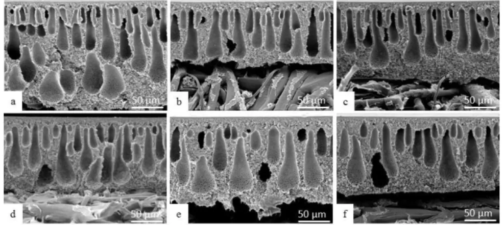 Fig. 7. Effect of co-solvent/solvent ratio (THF/NMP) in the PSU casting solution on the morphology 