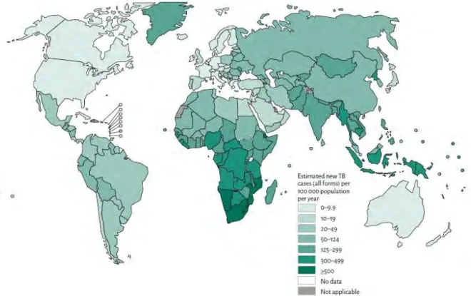 Figure 1 : Estimation du nombre de nouveaux cas de tuberculoses en 2014 [11] 
