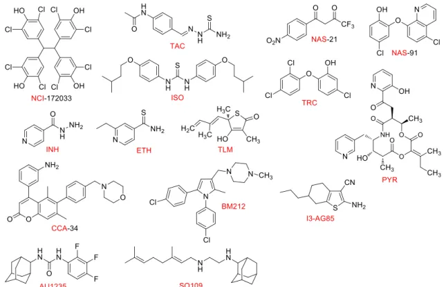 Figure 8 : Exemples de structures d’inhibiteurs d’enzymes impliquées dans la synthèse des acides mycoliques 