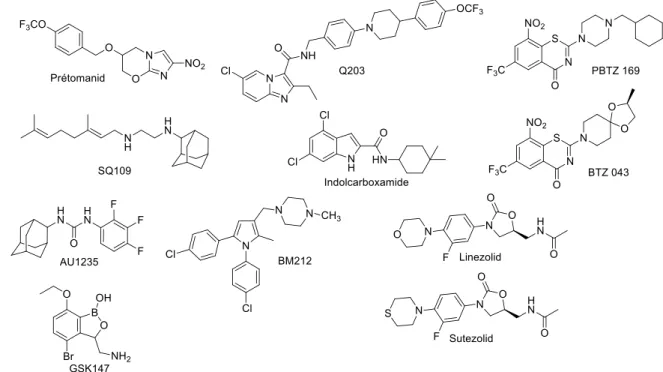 Figure 12 : Structures des composés en cours d’étude pour le traitement de la tuberculose 
