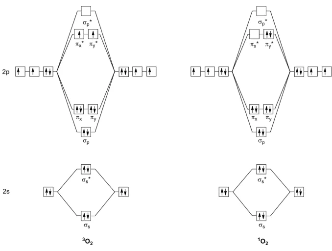 Figure 2 : Diagramme orbitalaire de  3 O