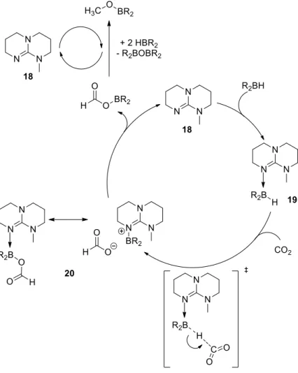 Figure 4 : Catalyseur de N. Mézailles (21) et de F.-G. Fontaine (22) 