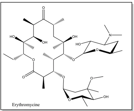 Figure 2.  Structure d’Erythromycine (macrolide)