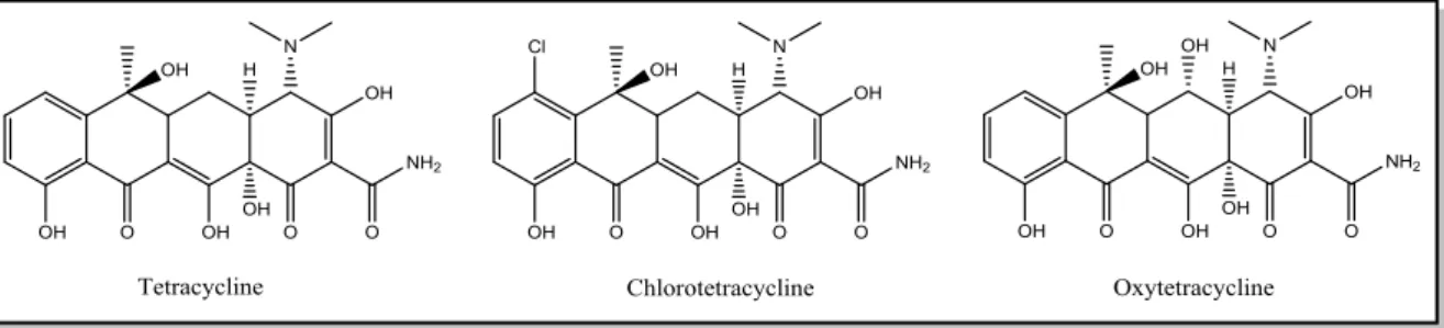 Figure 4. Structures de quelques tétracylines 