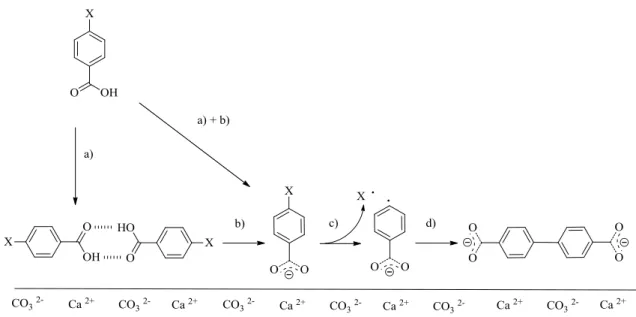 Figure  1.24  Mechanism  proposed  for  4-halobenzoic  acid  reaction  on  calcite  in  UHV