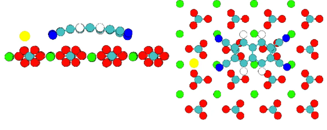 Figure  2.25  Simulation  of  naphthalene-2,3,6,7-tetracarbonitrile  molecule  and  Au  atom  on  calcite  (private communication)
