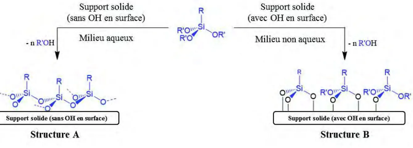 Figure II.8 : Schéma réactionnel de l'interaction d'un alkoxysilane avec la surface d'un solide.