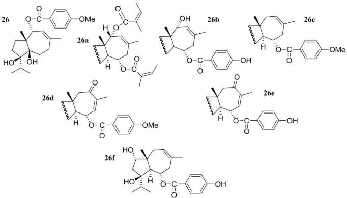 Tableau  12  :  Activités  cytotoxiques  de  la  férutinine  et  ses  analogues  sur  les  différentes  lignées  cellulaires