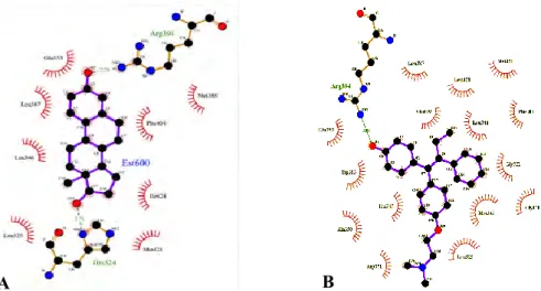 Figure 29 : Exemple de réseaux d’interactions moléculaires. (A) Un agoniste (EST) dans son  site, (B) un antagoniste (OHT) dans son site