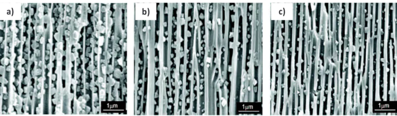 Figure  1.20  Clichés  MEB  de  vues  transversales  de  la  membrane  composite  HKUST-1/membrane 