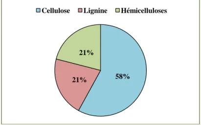 Figure  II.9 :  Répartition  de  la  lignine,  cellulose  et  hémicellulose s  dans  la  fraction pariétale