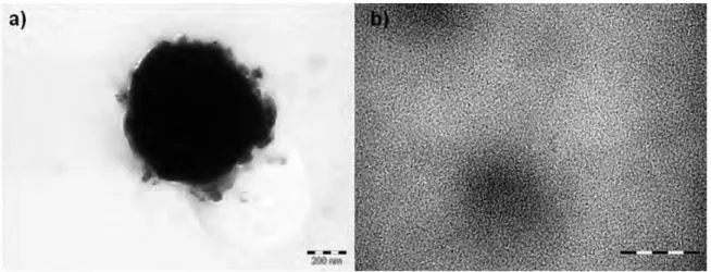 Figure 2.6  a-b) TEM Images from the crude supernatant of reaction mixture obtained at 60 o C in  THF