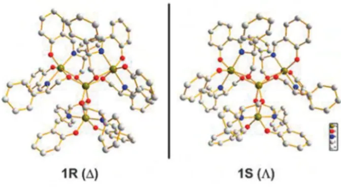Figure 10 : Vue des structures de 1R et 1S le long de l’axe C3 . 