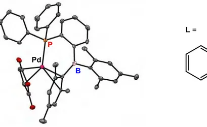Figure 13. Interaction   2 -CC dans un complexe de Pd comportant un ligand  phosphine-borane 