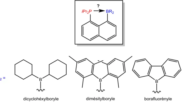 Figure 9. Schéma général du phosphine-borane ciblé et fragments boryles choisis 