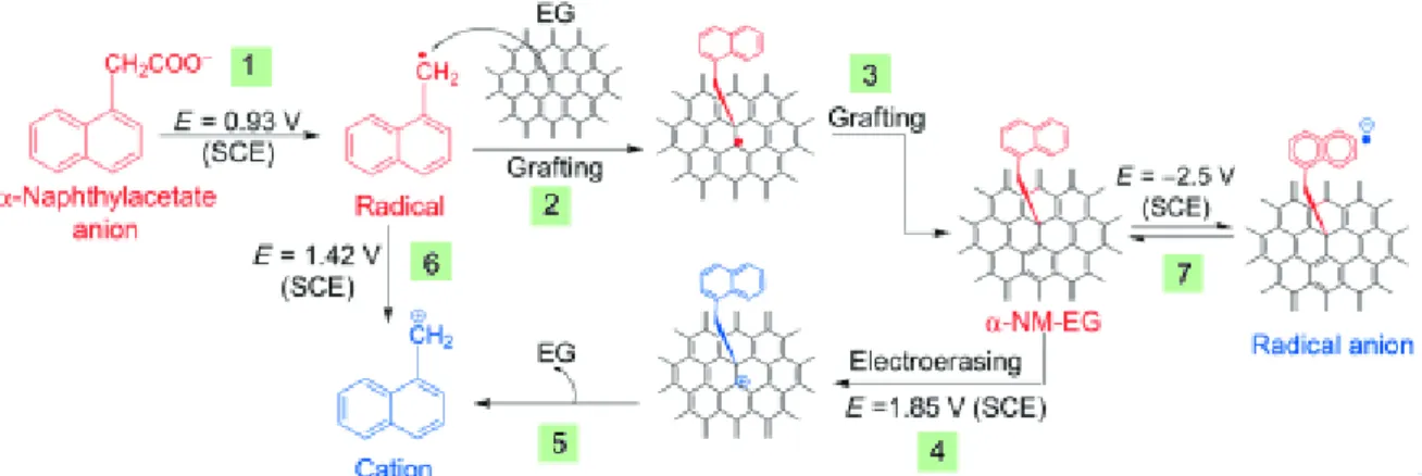 Figure 15 : Reversible electrochemically activated grafting of α–naphthylmethyl radicals (from reference 