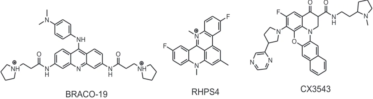 Figure 13 : structures des composés ligands de G-quadruplex possédant une activité antitumorale