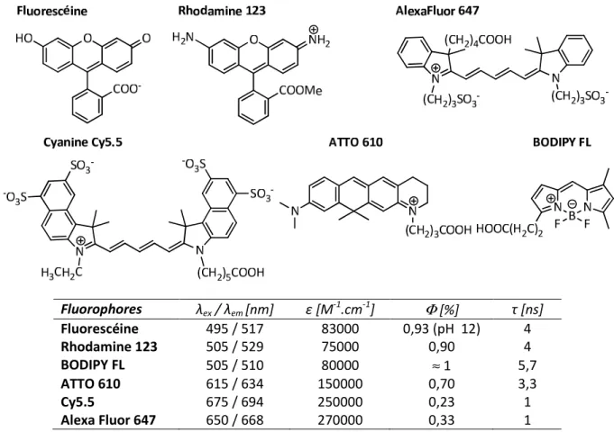 Figure  24  :  Structures  et  propriétés  de  fluorescence  en  solution  aqueuse  des  principaux  types  de  fluoro- fluoro-phores organiques