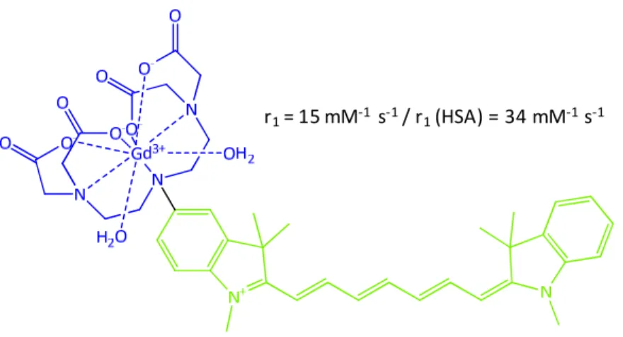 Figure 44 : Structure et propriétés de la sonde Gd-DOTA-rhodamine-DSA. 101r1= 15 mM-1s-1/ r1(HSA) = 34 mM-1s-1