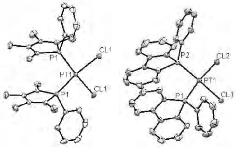 Figure 4: ORTEP des complexes Pt(TMP) 2 Cl 2  et Pt(DBP) 2 Cl 2.