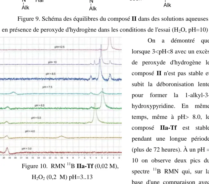 Figure 9. Schéma des équilibres du composé II dans des solutions aqueuses  en présence de peroxyde d'hydrogène dans les conditions de l'essai (H 2 O, pH=10) 