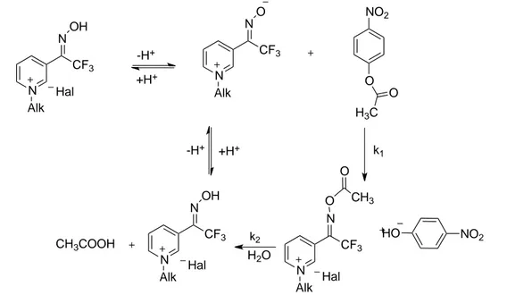 Figure 16. Schéma d'interaction de VII et PNPA. 