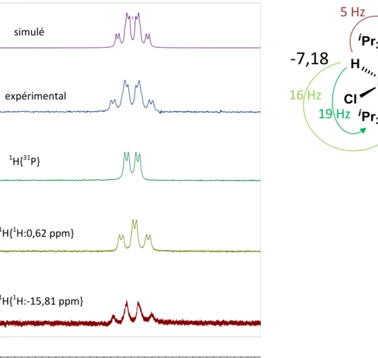 Figure I-10 : Expériences RMN  1 H de découplages sélectifs du signal de l’hydrure à –7,18 ppm de  [RuHCl(  2 :  2 -H 2 BMes)(P i Pr 3 ) 2 ] 17 