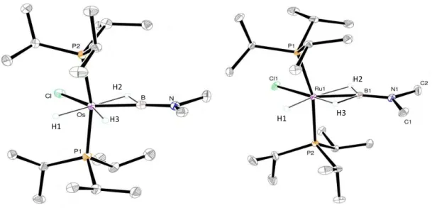 Figure I-11 : Structures par diffraction des rayons X de [MHCl(H 2 BNMe 2 )(P i Pr 3 ) 2 ] (M = Os 10, Ru 18)  Distances(Å)  et angles (°)  Os  Ru  M-B  1,924(7) / 1,935  1,9263(16) / 1,9200(10) / 1,924  M-P  2,355(1) / 2,360  2,3465(4) / 2,3409(10) / 2,34