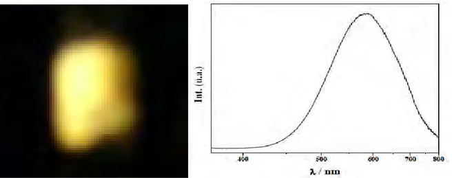 Figure  I-6 : Luminescence  jaune  de particules  de ZnO  sous une  longueur  d‟onde  d‟excitation    de 320 nm