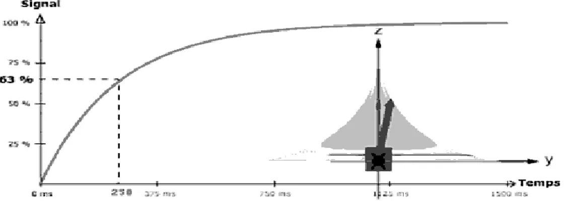 Figure  I-18 : Courbe  de relaxation  T1de la  composante  longitudinale  de l‟aimantation  macroscopique  [75] 