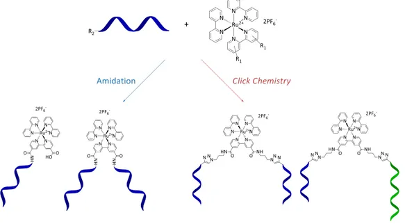 Figure 2 - Représentation schématique des synthèses de molécules hybrides ruthénium/ADN 