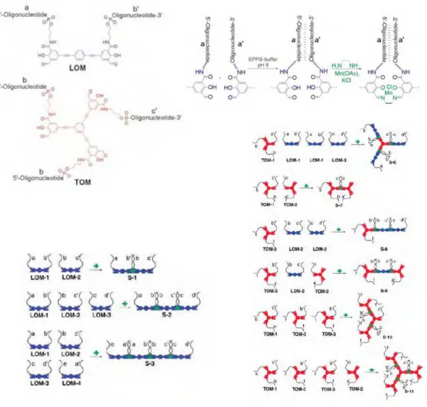 Figure 34 - Chimie structurale : utilisation de l'ADN et de ponts salen avec un sel de manga- manga-nèse