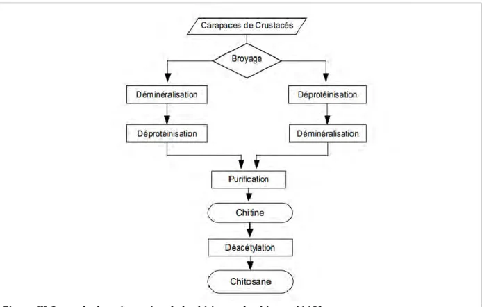 Figure III-2 : mode de préparation de la chitine et du chitosan[112] 
