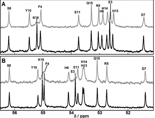 Figure 4 : RMN  13 C centré sur les Cα  du peptide Aβ3-16 à pH 6,0 (panneau A) et à  pH 8,6 (panneau B) en absence (noir) et en présence (gris) de Cu(II)