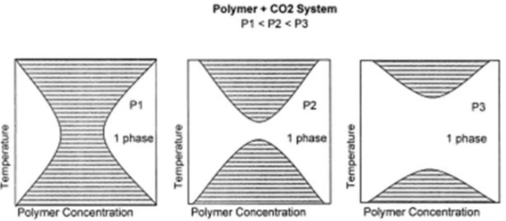 Figure  I.6  Theoretical  temperature-composition  phase  diagrams  for  a  pseudo- pseudo-binary mixture of a polymer in CO 2 