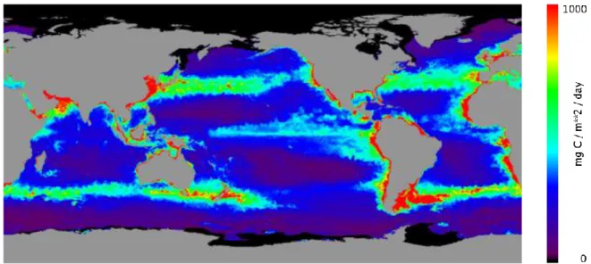 Fig.  I.  1.7.  Global  ocean  primary  production  estimated  from  chlorophyll  a  distribution  derived from SeaWiFS data (www.science.oregonstate.edu/ocean.productivity)