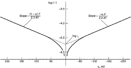 Fig.  II. 2.2. Tafel plots  for  anodic and cathodic branches of  the current-overpotential  curve  (Bard and Faulkner, 2001)