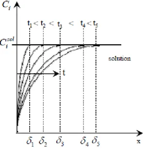 Fig. II. 2.3. Concentration profiles in function of distance from electrode for species “i” at  different times (Bockris and Reddy, 1970) 