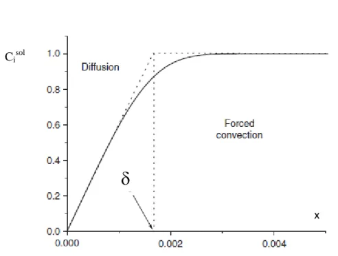 Fig. II. 2.4. Concentration profile of species “i” in function of distance from the  electrode