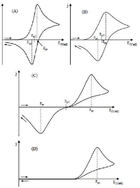 Fig. II. 3.1. Cyclic voltammetry for different systems: A-reversible, B-quasi-reversible, C, D- D-irreversible (Barus, 2008, adapted from Bard and Faulkner, 2001)