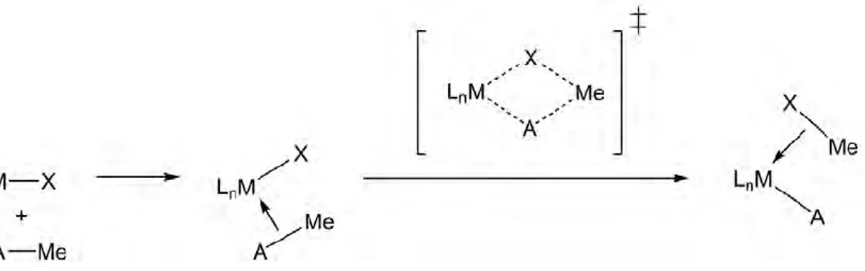 Figure 4. Schéma de la réaction de transfert de groupement méthyle. 