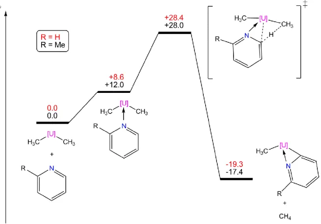 Figure  23.  Profils  énergétiques  de  l’activation  C-H  de  la  pyridine  (R=H)  et  de  l’activation  C-H  du  carbone  hybridé  sp 2   de  la  2-picoline  (R=Me)  par  Cp 2 U