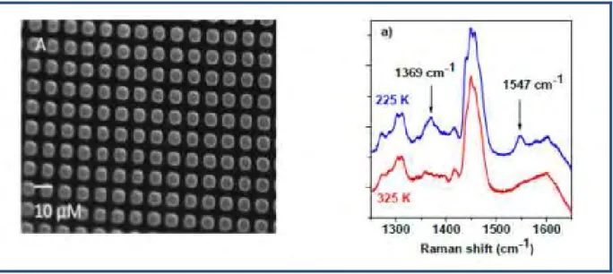Figure A.3.1.1- Image optique en champ sombre et étude Raman des motifs micrométriques du composé 