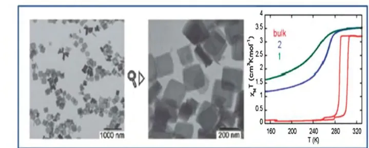 Figure A.3.1.3 : Images MET des monocristaux de différentes tailles du composé {Fe(pz)[Pt(CN) 4 ]} et susceptibilité  magnétique du composé {Fe(pz)[Pt(CN) 4 ]}  : poudre (rouge), monocristaux de 15x15x5 (2) et 8x8x3 (1) nm 3
