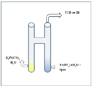 Figure B.3.2: Schéma du  protocole expérimental suivi  pour l'obtention  des monocristaux du  complexe 