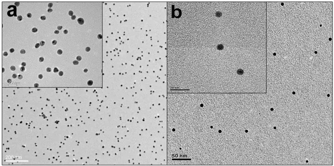 Fig II.1: Transmission electron micrograph images of (a) Au and (b) Ag nanoparticles. Inset 