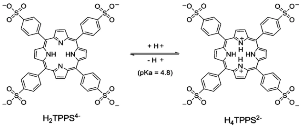 Fig III.2: Protonation of H 2 TPPS 4 4-  to H 4 TPPS 4 2- with acidification by HCl. 