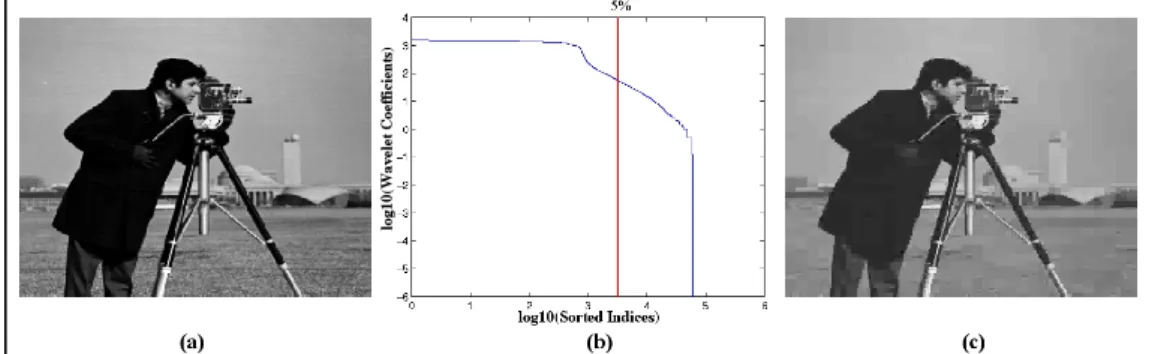 Figure 2.1: (a) Original image (256×256) and (b) its sorted wavelet transform coefficients in log-scale